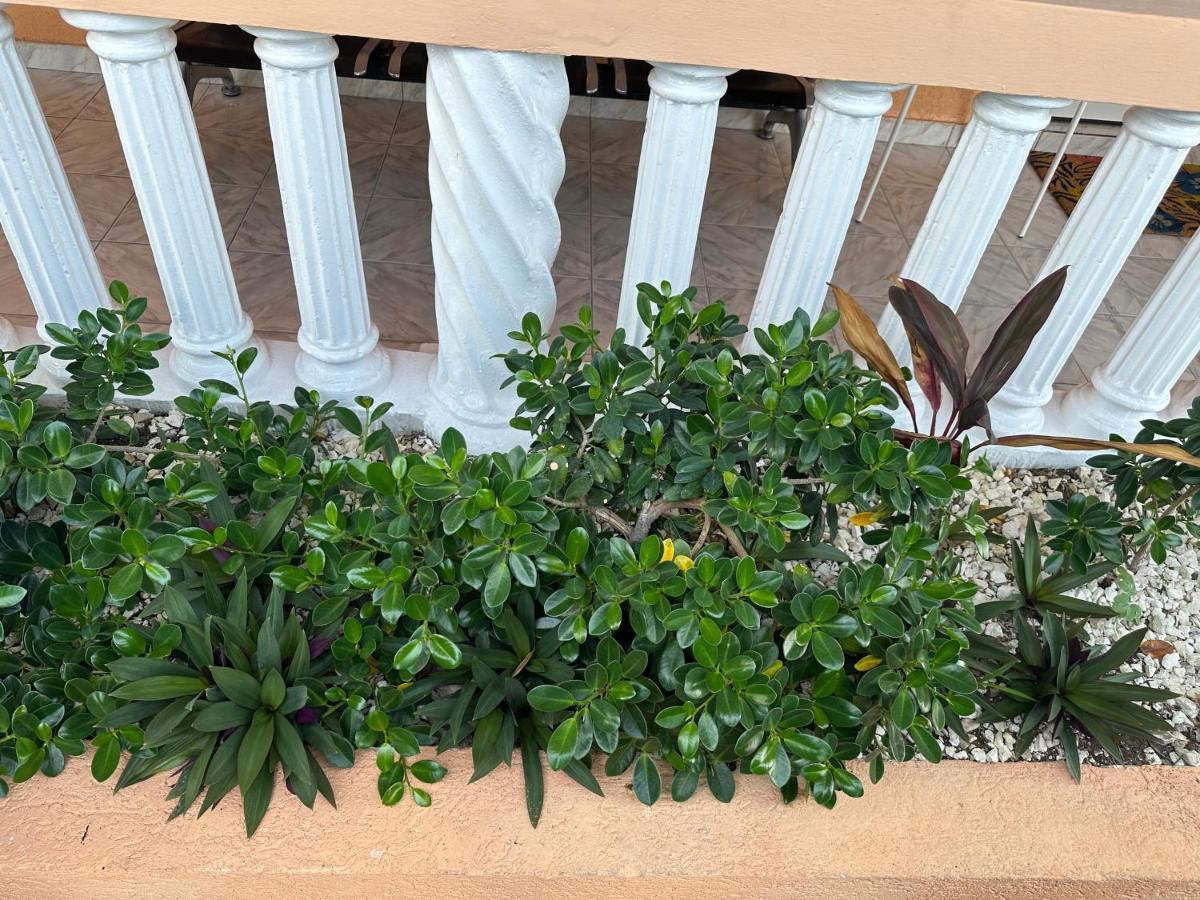 Remarkable 1-Bed Apartment In Montego Bay Eksteriør billede